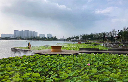 郑州双鹤湖中央公园水系水质提升工程