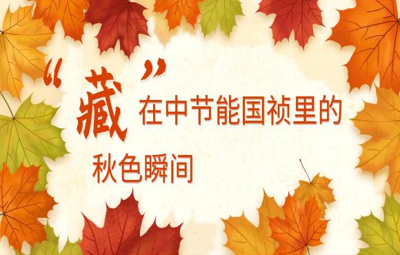 四季国祯丨“藏”在中节能国祯里的秋色瞬间