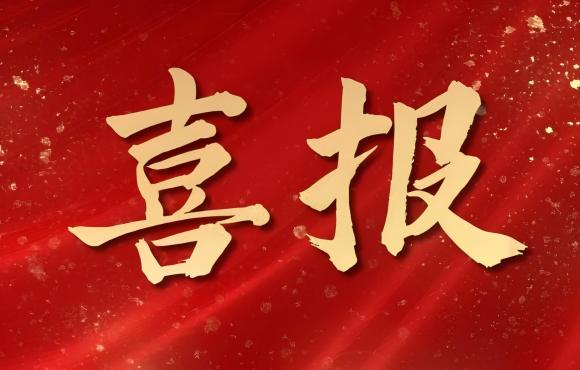 TOP 12！中节能国祯荣登中国品牌价值 “其他服务类”
