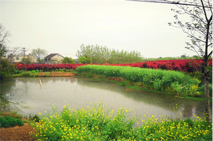 国祯环保-快乐国祯环湖毅行沿途风景